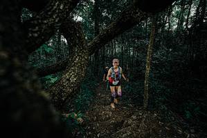 BIB: 
                            <button type="button" onclick="openModal(25682979)" class="btn btn-primary btn-sm float-right btn-popup" data-toggle="modal" data-target=".modal-high-quality">
                        <i class="fas fa-shopping-cart"></i> Add to Cart
                    </button>
                                            <button type="button" onclick="isThisMe(25682979, true)" class="btn btn-success btn-sm float-right btn-popup btn-isme hidden" data-toggle="tooltip" data-placement="bottom" title="นี่คือรูปของคุณใช่ไหม คลิกที่นี่เพื่อเอาเข้าอัลบั้ม">
                        <i class="fas fa-plus"></i> Add to album
                    </button>
                    <button type="button" onclick="isThisMe(25682979, false)" class="btn btn-warning btn-sm float-right btn-popup btn-isnotme hidden">
                        <i class="fas fa-ban"></i> Remove from album
                    </button>